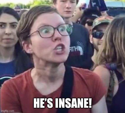 Angry Liberal | HE’S INSANE! | image tagged in angry liberal | made w/ Imgflip meme maker