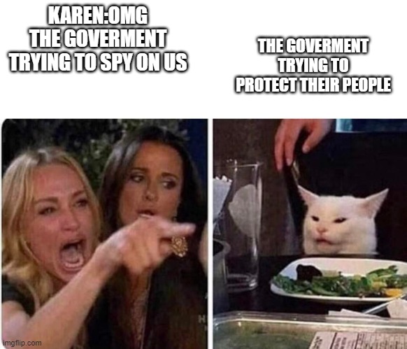 karen | KAREN:OMG THE GOVERMENT TRYING TO SPY ON US; THE GOVERMENT TRYING TO PROTECT THEIR PEOPLE | image tagged in lady screams at cat | made w/ Imgflip meme maker
