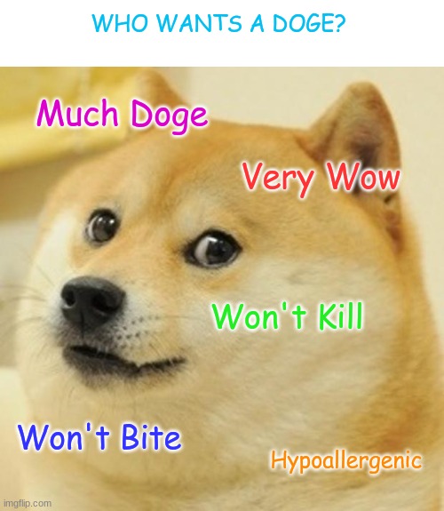 Doge Meme | WHO WANTS A DOGE? Much Doge; Very Wow; Won't Kill; Won't Bite; Hypoallergenic | image tagged in memes,doge | made w/ Imgflip meme maker