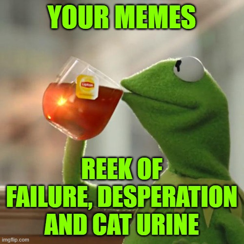 But That's None Of My Business Meme | YOUR MEMES REEK OF FAILURE, DESPERATION AND CAT URINE | image tagged in memes,but that's none of my business,kermit the frog | made w/ Imgflip meme maker