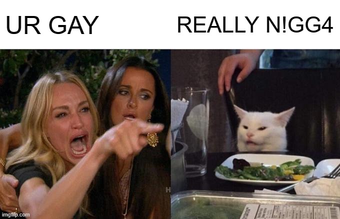 WHEN MY FRIENDS TELL ME IM GAY | UR GAY; REALLY N!GG4 | image tagged in memes,woman yelling at cat | made w/ Imgflip meme maker