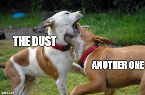 THE DUST; ANOTHER ONE | image tagged in dog | made w/ Imgflip meme maker