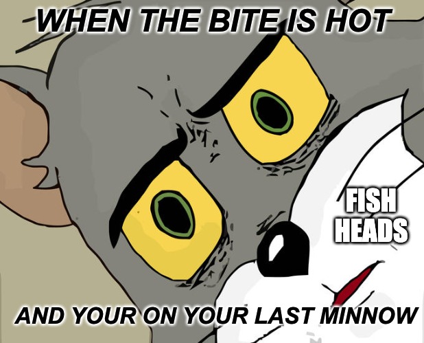 No Bait | WHEN THE BITE IS HOT; FISH HEADS; AND YOUR ON YOUR LAST MINNOW | image tagged in memes,unsettled tom | made w/ Imgflip meme maker
