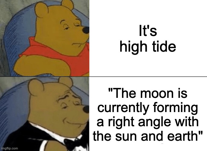 Tuxedo Winnie The Pooh Meme | It's high tide; "The moon is currently forming a right angle with the sun and earth" | image tagged in memes,tuxedo winnie the pooh | made w/ Imgflip meme maker