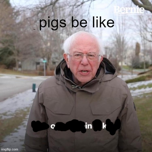 Bernie I Am Once Again Asking For Your Support Meme | pigs be like | image tagged in memes,bernie i am once again asking for your support | made w/ Imgflip meme maker