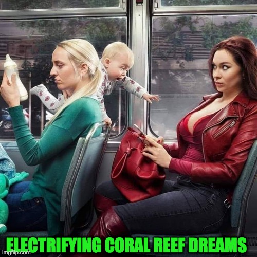 MEN | ELECTRIFYING CORAL REEF DREAMS | image tagged in men | made w/ Imgflip meme maker