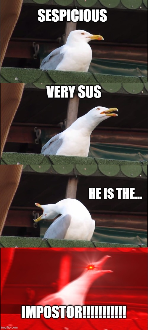 Inhaling Seagull | SESPICIOUS; VERY SUS; HE IS THE... IMPOSTOR!!!!!!!!!!! | image tagged in memes,inhaling seagull | made w/ Imgflip meme maker