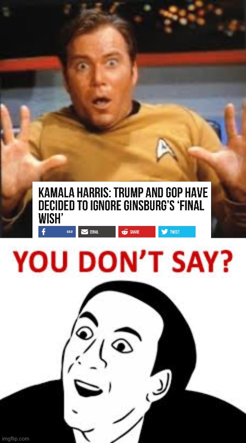 Do these idiots even understand politics? | image tagged in you don t say,ruth bader ginsburg,shapeshifting lizard,captain obvious | made w/ Imgflip meme maker