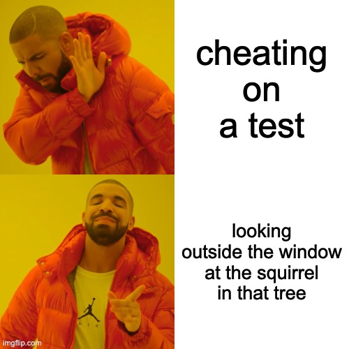 During a test | cheating on a test; looking outside the window at the squirrel in that tree | image tagged in memes,drake hotline bling | made w/ Imgflip meme maker