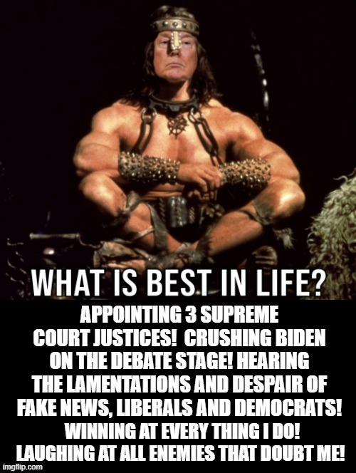 What Is Best In Life? | APPOINTING 3 SUPREME COURT JUSTICES!  CRUSHING BIDEN ON THE DEBATE STAGE! HEARING THE LAMENTATIONS AND DESPAIR OF FAKE NEWS, LIBERALS AND DEMOCRATS! WINNING AT EVERY THING I DO!  LAUGHING AT ALL ENEMIES THAT DOUBT ME! | image tagged in trump,stupid liberals | made w/ Imgflip meme maker