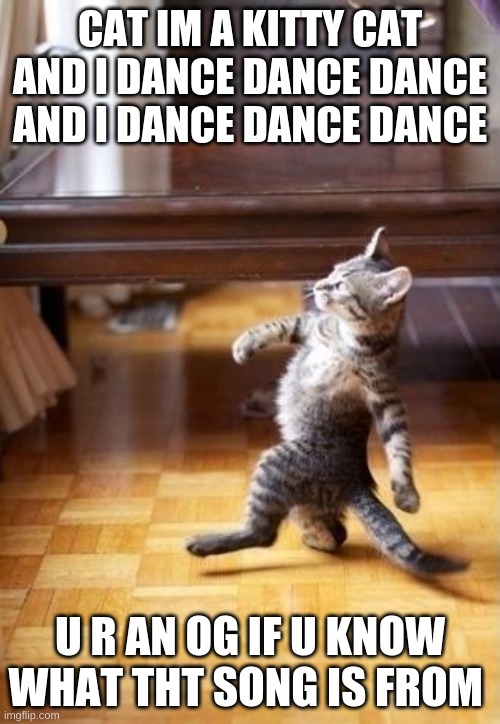 dancing cat |  CAT IM A KITTY CAT AND I DANCE DANCE DANCE AND I DANCE DANCE DANCE; U R AN OG IF U KNOW WHAT THT SONG IS FROM | image tagged in memes,cool cat stroll | made w/ Imgflip meme maker