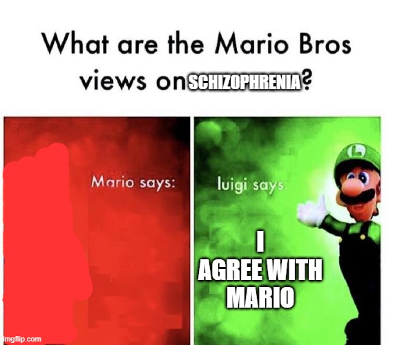Mario Bros Views | SCHIZOPHRENIA; I AGREE WITH MARIO | image tagged in mario bros views | made w/ Imgflip meme maker