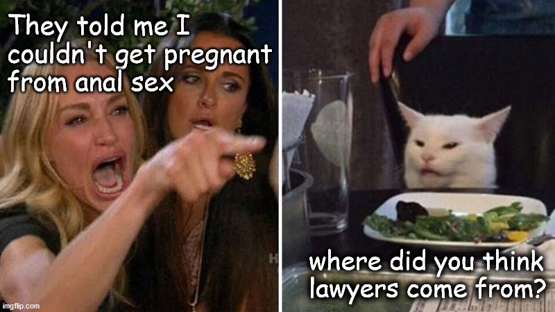 anal sex | They told me I
couldn't get pregnant
from anal sex; where did you think
lawyers come from? | image tagged in pregnancy | made w/ Imgflip meme maker