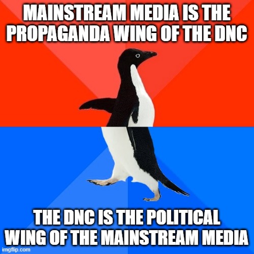 Socially Awesome Awkward Penguin Meme | MAINSTREAM MEDIA IS THE PROPAGANDA WING OF THE DNC THE DNC IS THE POLITICAL WING OF THE MAINSTREAM MEDIA | image tagged in memes,socially awesome awkward penguin | made w/ Imgflip meme maker