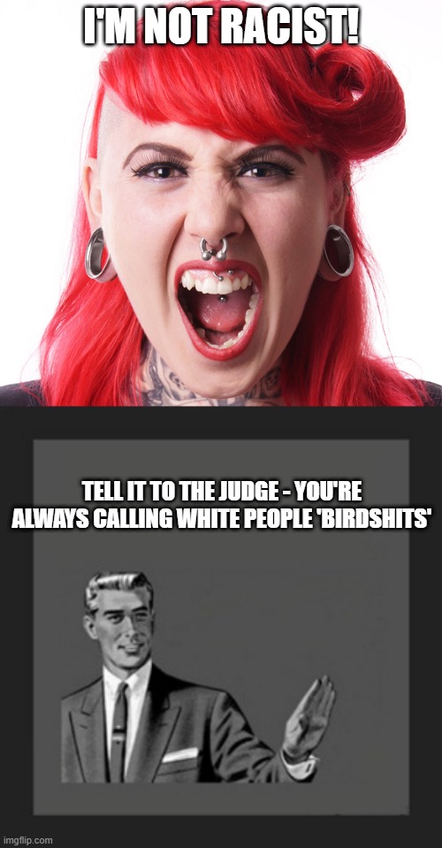I'M NOT RACIST! TELL IT TO THE JUDGE - YOU'RE ALWAYS CALLING WHITE PEOPLE 'BIRDSHITS' | image tagged in memes,kill yourself guy,angry feminist,feminist,grammar guy,racism | made w/ Imgflip meme maker