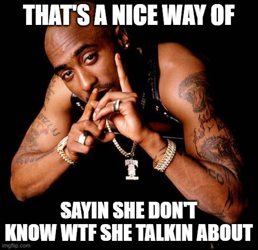 Tupac | THAT'S A NICE WAY OF SAYIN SHE DON'T KNOW WTF SHE TALKIN ABOUT | image tagged in tupac | made w/ Imgflip meme maker