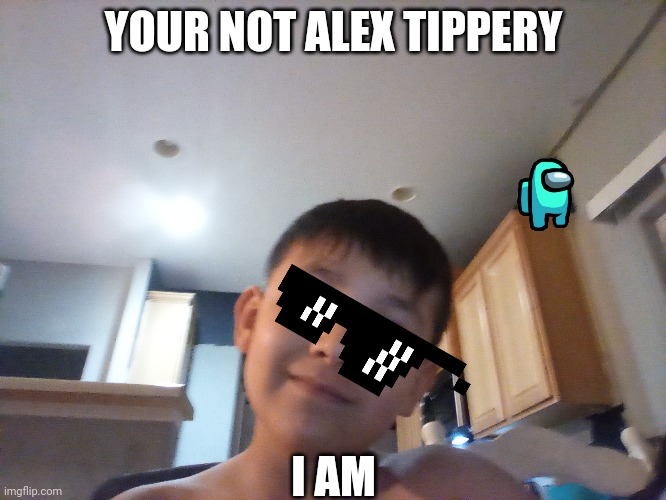 Alex | YOUR NOT ALEX TIPPERY; I AM | image tagged in sonic the hedgehog | made w/ Imgflip meme maker