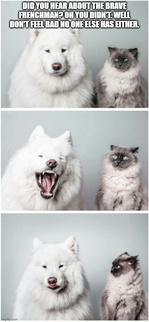 Dog telling cat joke | DID YOU HEAR ABOUT THE BRAVE FRENCHMAN? OH YOU DIDN'T. WELL DON'T FEEL BAD NO ONE ELSE HAS EITHER. | image tagged in dog telling cat joke,cats,dogs,memes,jokes,meme | made w/ Imgflip meme maker