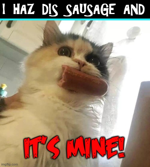 Possession is 10/10ths of the Salem Cat Laws (1692) | I HAZ DIS SAUSAGE AND; IT'S MINE! | image tagged in vince vance,cats,funny cat memes,sausages,hot dog,weiner | made w/ Imgflip meme maker