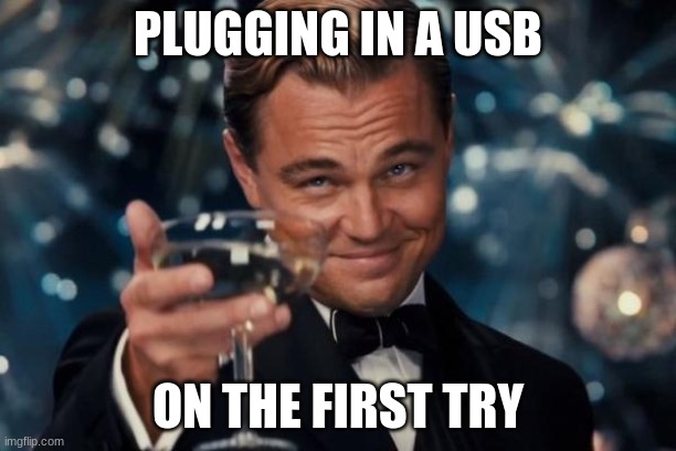 Satisfaction x 1000 | PLUGGING IN A USB; ON THE FIRST TRY | image tagged in memes,leonardo dicaprio cheers,first take,life,hard work,satisfying | made w/ Imgflip meme maker