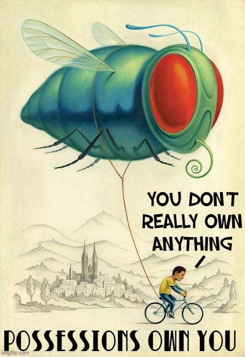 You Really Wanted that Giant Bug Balloon, at first | YOU DON'T REALLY OWN
ANYTHING; /; POSSESSIONS OWN YOU | image tagged in vince vance,possessions,bug,balloon,bicycle,memes | made w/ Imgflip meme maker