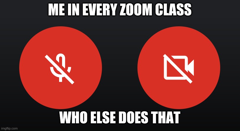 zoom every day | ME IN EVERY ZOOM CLASS; WHO ELSE DOES THAT | image tagged in mute mic turn off video | made w/ Imgflip meme maker