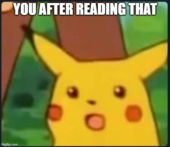 Surprised Pikachu | YOU AFTER READING THAT | image tagged in surprised pikachu | made w/ Imgflip meme maker