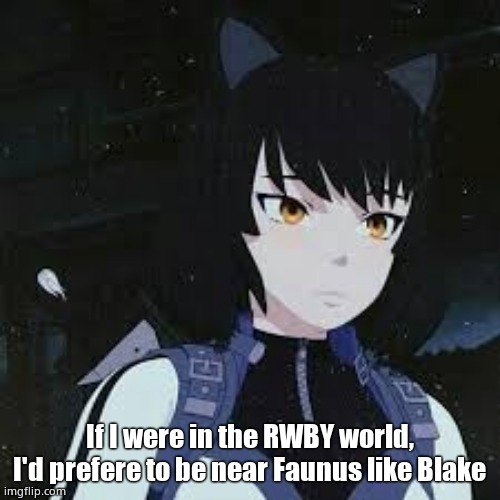 RWBY Blake | If I were in the RWBY world, I'd prefere to be near Faunus like Blake | image tagged in rwby blake | made w/ Imgflip meme maker