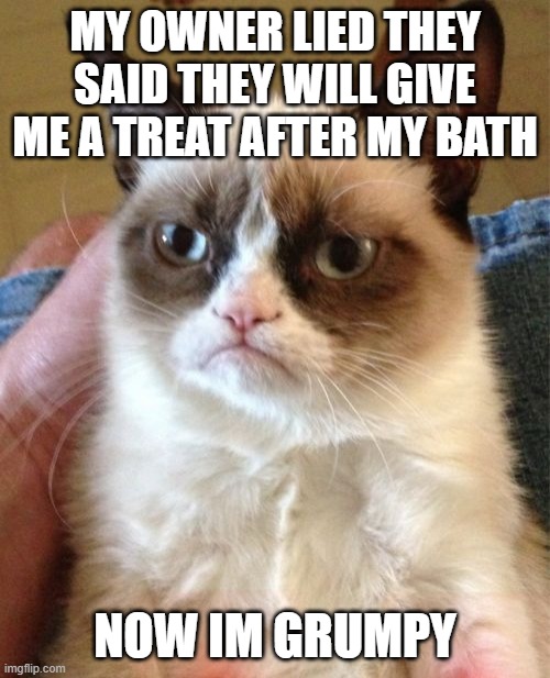 grumpy cat | MY OWNER LIED THEY SAID THEY WILL GIVE ME A TREAT AFTER MY BATH; NOW IM GRUMPY | image tagged in memes,grumpy cat,cats,funny cats,cats are awesome,funny | made w/ Imgflip meme maker
