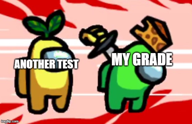 Among Us Stab | ANOTHER TEST; MY GRADE | image tagged in among us stab | made w/ Imgflip meme maker