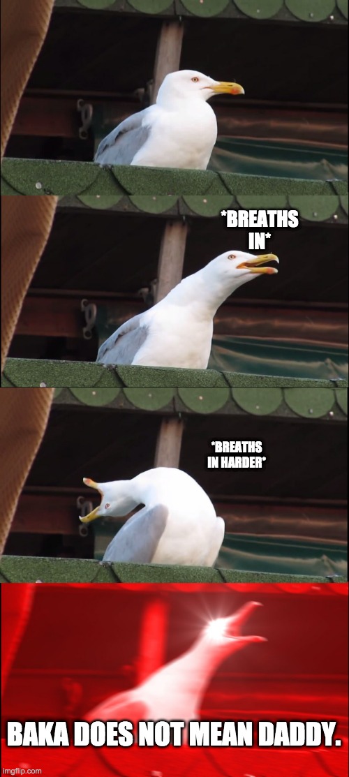 Inhaling Seagull | *BREATHS IN*; *BREATHS IN HARDER*; BAKA DOES NOT MEAN DADDY. | image tagged in memes,inhaling seagull | made w/ Imgflip meme maker