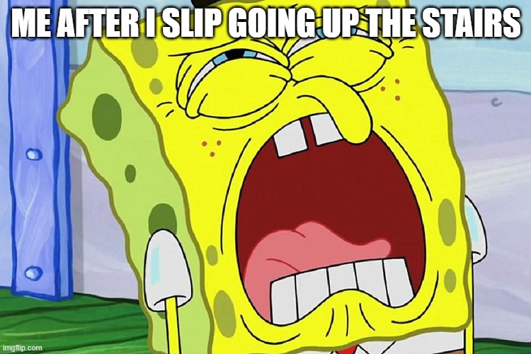 Spongebob Yelling | ME AFTER I SLIP GOING UP THE STAIRS | image tagged in spongebob yelling | made w/ Imgflip meme maker