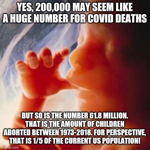 Scary abortion death totals | YES, 200,000 MAY SEEM LIKE A HUGE NUMBER FOR COVID DEATHS; BUT SO IS THE NUMBER 61.8 MILLION.
THAT IS THE AMOUNT OF CHILDREN ABORTED BETWEEN 1973-2018. FOR PERSPECTIVE, THAT IS 1/5 OF THE CURRENT US POPULATION! | image tagged in fetus,abortion,covid,covid-19,death,politics | made w/ Imgflip meme maker