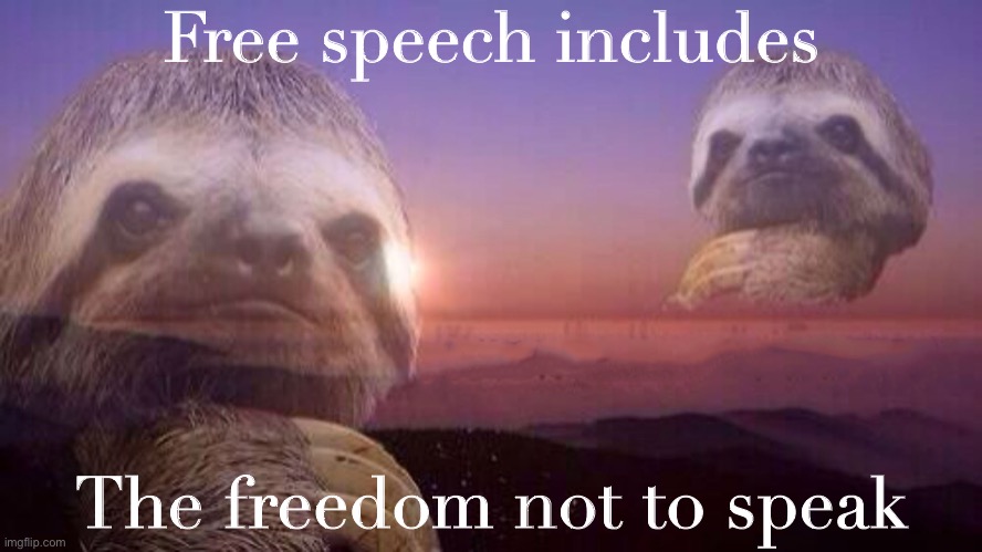 Once you crack this riddle you’ll be well on your way | Free speech includes; The freedom not to speak | image tagged in sloth knowledge is power without words,free speech,hate speech,first amendment,freedom of speech,freedom of the press | made w/ Imgflip meme maker