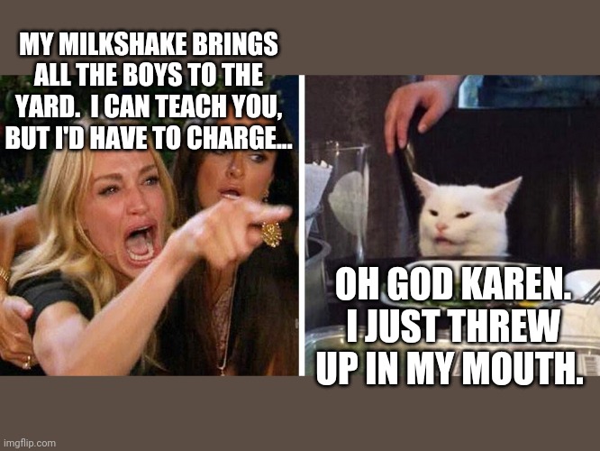 Smudge the cat | MY MILKSHAKE BRINGS ALL THE BOYS TO THE YARD.  I CAN TEACH YOU, BUT I'D HAVE TO CHARGE... OH GOD KAREN. I JUST THREW UP IN MY MOUTH. | image tagged in smudge the cat | made w/ Imgflip meme maker