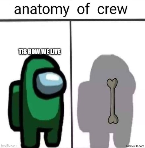 Anatomy of the crew | TIS HOW WE LIVE | image tagged in memes,fun,among us | made w/ Imgflip meme maker