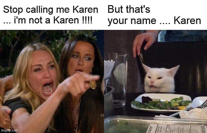 what's my name again | Stop calling me Karen ... i'm not a Karen !!!! But that's your name .... Karen | image tagged in memes,woman yelling at cat | made w/ Imgflip meme maker