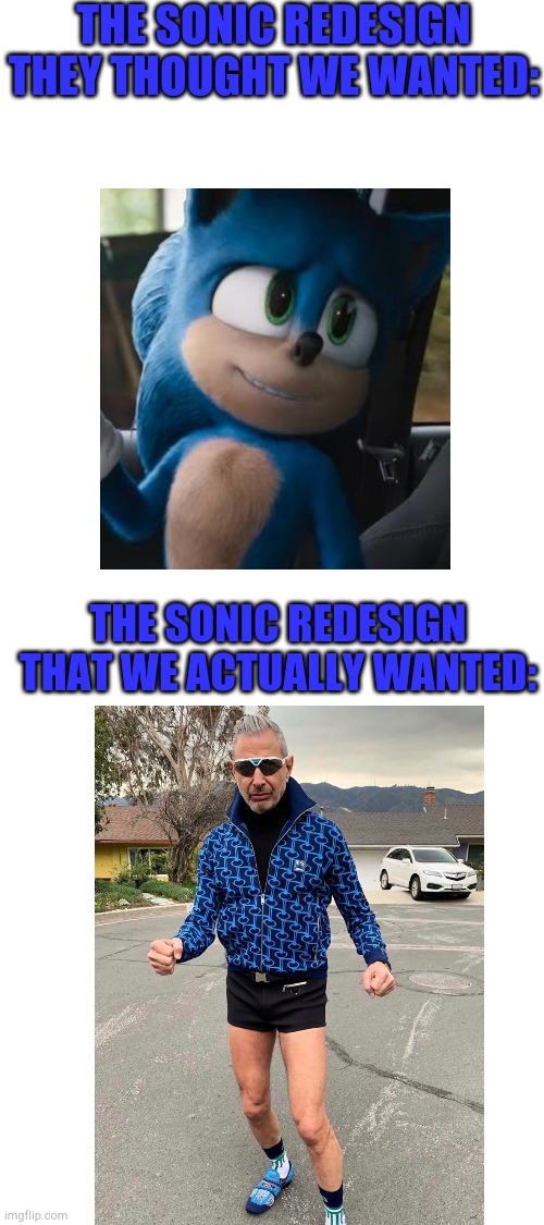 Sonic.. | THE SONIC REDESIGN THEY THOUGHT WE WANTED:; THE SONIC REDESIGN THAT WE ACTUALLY WANTED: | image tagged in blank white template,funny,memes,sonic the hedgehog,jeff goldblum | made w/ Imgflip meme maker