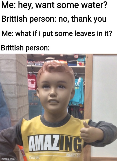 Me: hey, want some water? Brittish person: no, thank you; Me: what if i put some leaves in it? Brittish person: | image tagged in amazing shirt boy | made w/ Imgflip meme maker