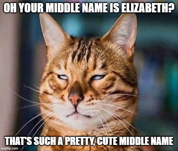 Sarcastic | OH YOUR MIDDLE NAME IS ELIZABETH? THAT'S SUCH A PRETTY, CUTE MIDDLE NAME | image tagged in sarcastic,cats,memes,sarcasm,meme,names | made w/ Imgflip meme maker