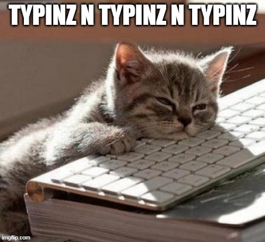 Studying | image tagged in phd,thesis,tired,cat,studying | made w/ Imgflip meme maker