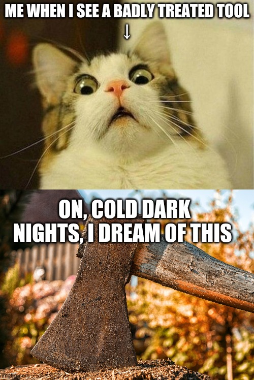 My second Biggest Fear, Rusty tools. | ME WHEN I SEE A BADLY TREATED TOOL
↓; ON, COLD DARK NIGHTS, I DREAM OF THIS | image tagged in memes,scared cat,reactions,fear | made w/ Imgflip meme maker