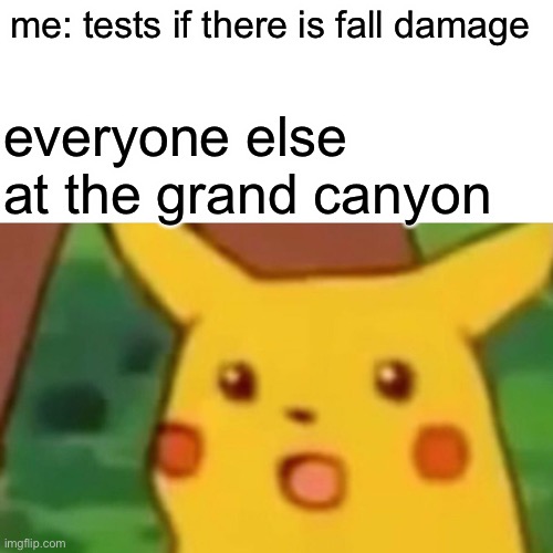 Surprised Pikachu Meme | me: tests if there is fall damage everyone else at the grand canyon | image tagged in memes,surprised pikachu | made w/ Imgflip meme maker