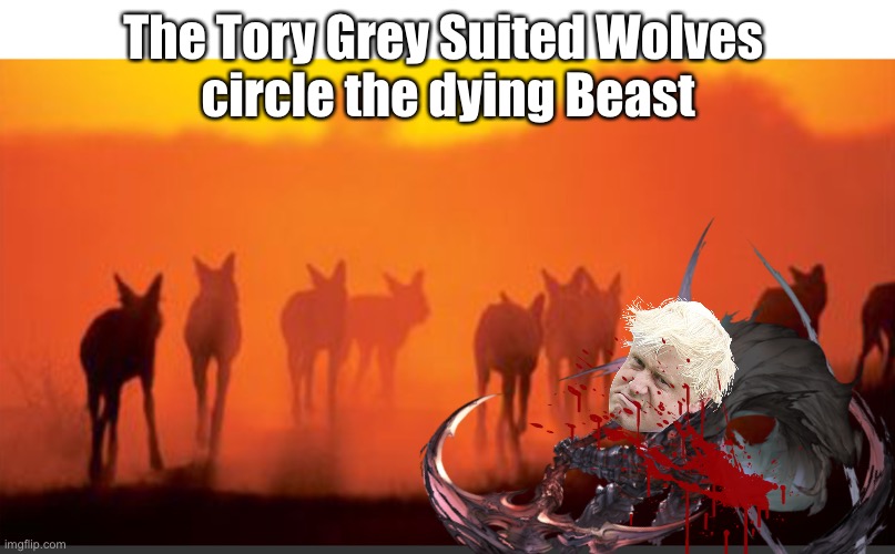 The Tory Grey Suited Wolves 
circle the dying Beast | made w/ Imgflip meme maker