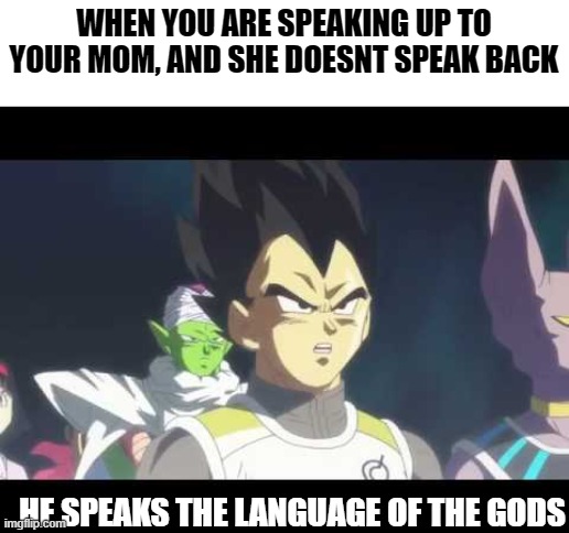 Truly Language of the Gods | WHEN YOU ARE SPEAKING UP TO YOUR MOM, AND SHE DOESNT SPEAK BACK; HE SPEAKS THE LANGUAGE OF THE GODS | image tagged in he's speaking the language of gods,vegeta,dragon ball super | made w/ Imgflip meme maker