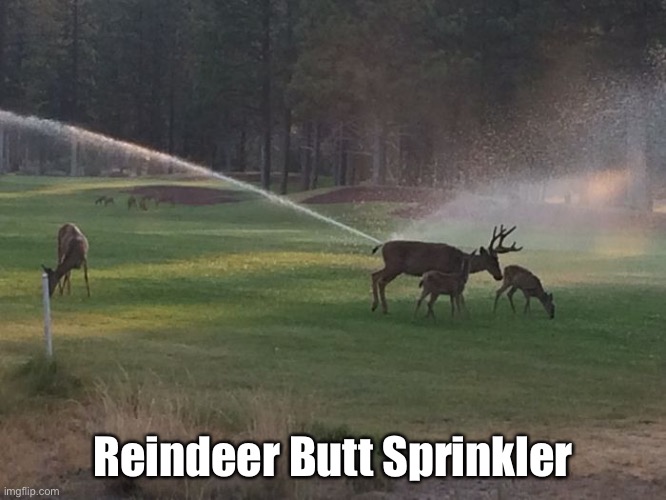 Santa’s Summer Home | Reindeer Butt Sprinkler | image tagged in funny memes,reindeer | made w/ Imgflip meme maker