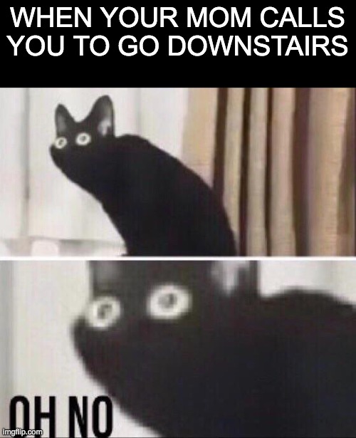 OH NO | WHEN YOUR MOM CALLS YOU TO GO DOWNSTAIRS | image tagged in oh no cat | made w/ Imgflip meme maker