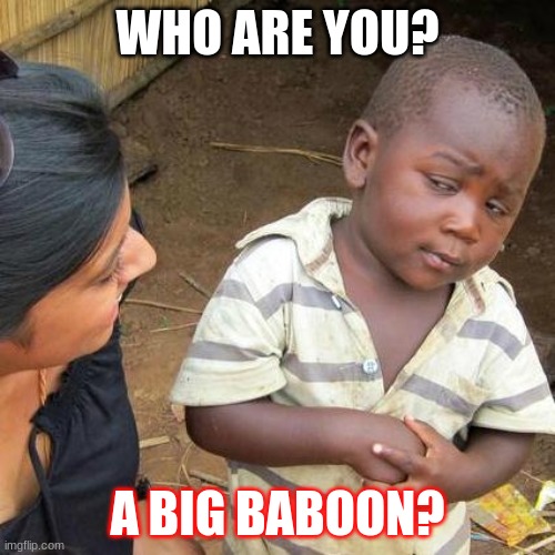 Third World Skeptical Kid | WHO ARE YOU? A BIG BABOON? | image tagged in memes,third world skeptical kid | made w/ Imgflip meme maker
