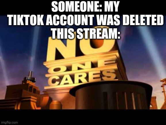 no one cares | SOMEONE: MY TIKTOK ACCOUNT WAS DELETED
THIS STREAM: | image tagged in no one cares,tik tok | made w/ Imgflip meme maker