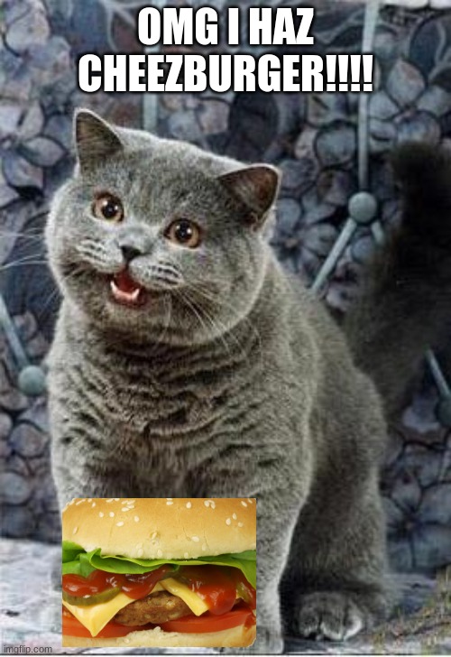 I can haz cheezburger plain | OMG I HAZ CHEEZBURGER!!!! | image tagged in i can haz cheezburger plain | made w/ Imgflip meme maker